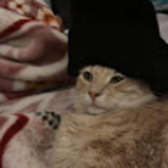 Meet your Posher, The jolly rancher - Picture 1 of 1